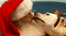 Santa Christmas DAY - 30 Minutes Santa Christmas DAY - 30 Minutes