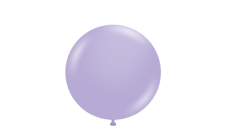 Blossom2 1736703203 1 Blossom