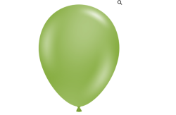 Fiona2 1736973687 Fiona