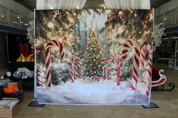 IMG 1521 1731982110 Peppermint Sticks Backdrop