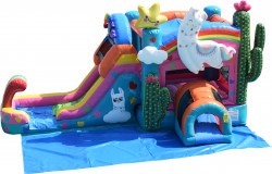 Llama Slide And Bounce Combo Waterslide