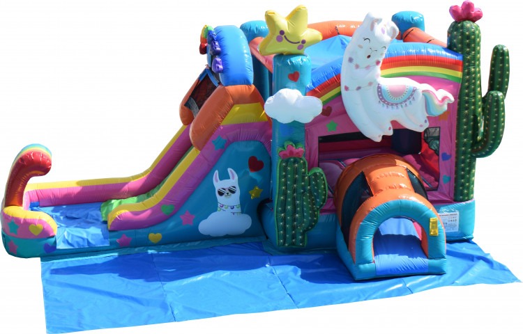 Llama Slide And Bounce Combo Waterslide