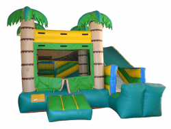 Palm Tree Slide & Bounce Combo (sm)