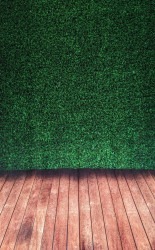 Patio20Greenery20Backdrop20Fully20Raised 1732916812 1 Patio Greenery Backdrop