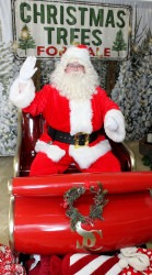 Santa20Paul20202420024 1732821591 Santa Paul