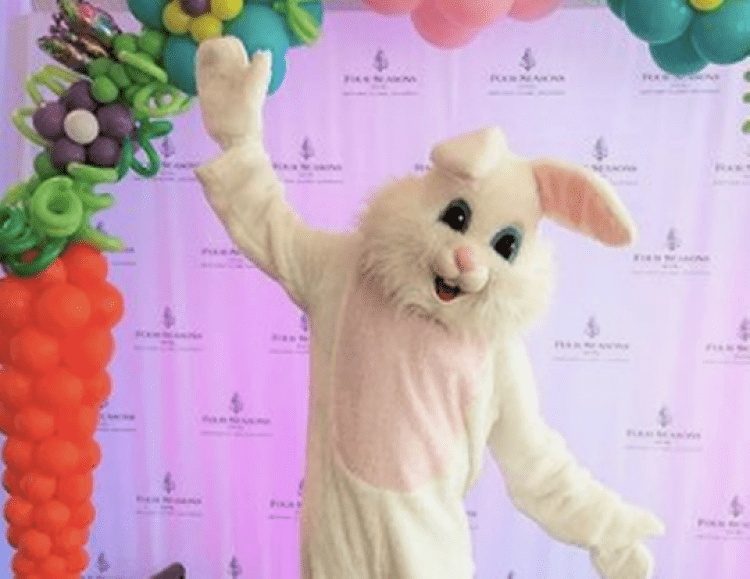 Easter Photo Sets with Bunny