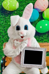 bunny20picture20promo 1678638041 Easter Bunny Picture Program - Remote Fundraiser