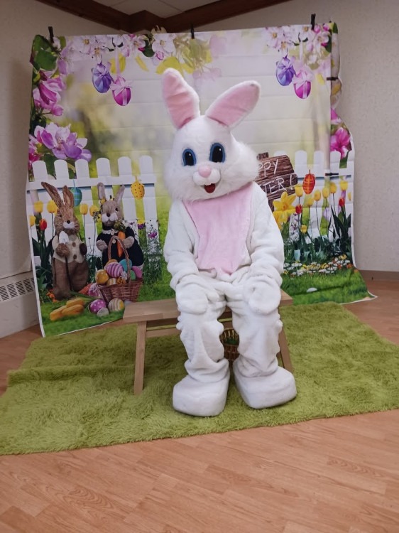 Holiday Photography Options