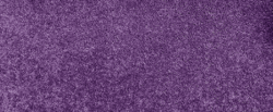 15 Ft Purple Carpet