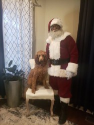 sean20with20dog 1670695264 1 Santa Sean