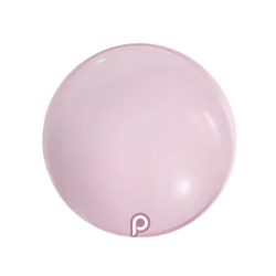 Ballet20Slipper Prima.png202 1767843060 Ballet Slipper