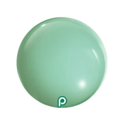 Spearmint 1767879693 Spearmint