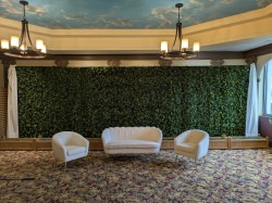 PXL 20260310 220828062 1780869613 Deluxe Greenery Wall